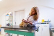 © ShapikMedia - Brno, Czech Republic - March 28, 2025: A veterinarian examines a cat during an appointment at a veterinary clinic