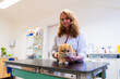 © ShapikMedia - Brno, Czech Republic - March 28, 2025: A veterinarian examines a cat during an appointment at a veterinary clinic