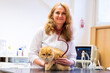 © ShapikMedia - Brno, Czech Republic - March 28, 2025: A veterinarian examines a cat during an appointment at a veterinary clinic