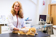 © ShapikMedia - Brno, Czech Republic - March 28, 2025: A veterinarian examines a cat during an appointment at a veterinary clinic