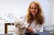 © ShapikMedia - Brno, Czech Republic - March 28, 2025: Veterinarian with a cat. Appointment at a veterinary clinic