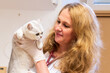 © ShapikMedia - Brno, Czech Republic - March 28, 2025: Veterinarian with a cat. Appointment at a veterinary clinic