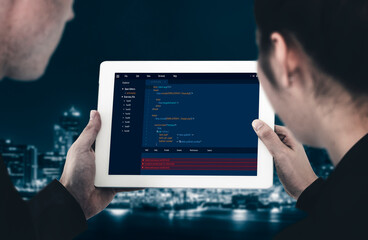 Wall Mural - software development programming on computer screen for modish application and program coding
