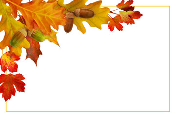 Wall Mural - red autumn leaves and acorns in a corner arrangement and a frame isolated on white or transparent ba