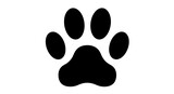 Isolated Paw
