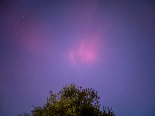 aurora