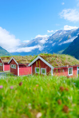 Wall Mural - traditional scandinavian houses with moss on the roof. north. nature in the fjords. vacation and tra