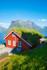 Wall Mural - traditional scandinavian houses with moss on the roof. beautiful mountain lake in norway. nature in 