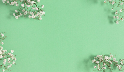 Wall Mural - flower composition with white flowers. gypsophila branches on a green background. top view
