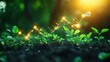 © ZpongXED - A vibrant image of young plants sprouting from soil, illuminated by sunlight, symbolizing growth and prosperity through sparkling elements.