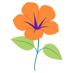 Canvas Print - individual morning glory of colorful flower illustration minimalist simple vector