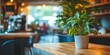 © Ilja - Bright and Airy Coffee Shop Ambiance, Hints of Green, and Wooden Textures, Minimalist cafe Design