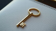 © Susan - Elegant golden key resting on a textured ivory surface, suggesting unlocking opportunities and potential.
