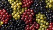 © Aofintarapak - A repeating pattern of different types of grapes including red green and black varieties photo . Colorful fruit cluster image.