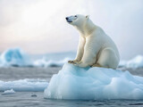 A solitary polar bear rests on an ice floe in the Arctic Ocean, surrounded by calm waters and floating icebergs. This breathtaking landscape highlights the urgent effects of global warming