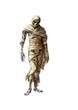 © Rawpixel.com - A Mummy art illustration mummy.