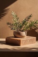 Wall Mural - green leaves in a decorative pot placed on a marble block in a sunlit interior setting