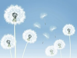 Wall Mural - dandelions floating in a serene blue sky