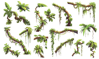 tropical liana. cartoon jungle branches with climbing creeper plants and moss, rainforest vines set 
