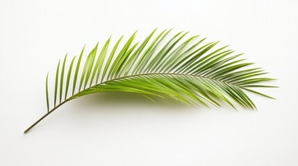 Green palm branch isolated. Generative AI