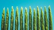 © Biggy - Tall green trees lined against blue sky background. Used for environmental visuals