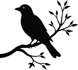 black silhouette of a bird sitting on a tree