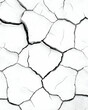 © Supriyono - Cracked, parched earth texture; monochrome . AI generative