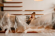 © Drobot Dean - A happy European female adult cafe owner standing at a countertop wrapped in plastic in a cafe with white walls and wooden shelves and talking on the phone, her brown hair tied in a bun