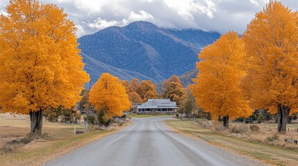 Poster - Scenic autumn road leads to house nestled amongst vibrant golden trees and majestic mountains.