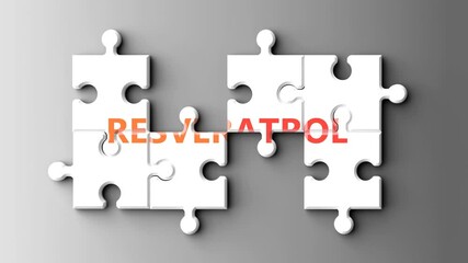 Fototapete - Resveratrol as a complex topic - puzzle pieces with a word Resveratrol coming together and forming a complete whole. Resveratrol being a composite subject. Made of many parts