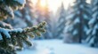© Kittipat - A snow-laden evergreen branch basks in the warm glow of a winter sunrise, a tranquil scene of frosted needles and a serene snowy forest background.