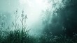 © ZpongXED - A serene, misty landscape featuring tall grasses and foliage, creating a tranquil, ethereal atmosphere.