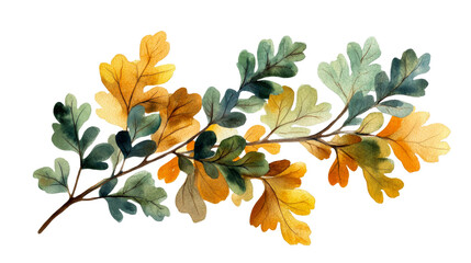 Wall Mural - Autumn Oak Branch Watercolor Painting, Fall Leaves Illustration, cut out transparent