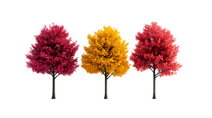 Wall Mural - three colorful trees in autumn landscape, season change, cut out transparent