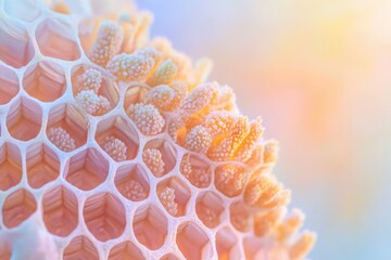 Wall Mural - macro shot of a delicate, hexagonal structure with orange and white textures, resembling biological 