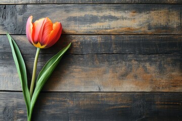 Poster - Beautiful orange tulip on rustic wooden background with green leaves arranged thoughtfully