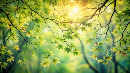 Aufkleber - Sunlight Illuminates Vibrant Green Leaves on Branchlets, a Serene Springtime Scene in Nature's Embrace
