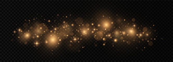Wall Mural - magic golden sparks and particles on transparent background. sparkling particles of dust.