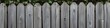 © Ripon - Old gray wooden fence. Wood texture background. Banner with rustic texture for your design.