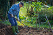 © carballo - senior farmer working in the field