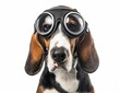 © Music_A - A basset hound with goggles on, its ears dramatically lifted as if mid-flight, isolated for focus