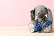 © New Africa - Pediatrics concept. Toy bunny with stethoscope on wooden table against pink background, space for text