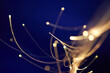 © Yaroslav Danylchenko/Stocksy - Dynamic fiber optic motion
