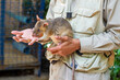 © Studio KME/Stocksy - HeroRat Training in Cambodia