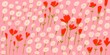 © Volha Kaliaha/Stocksy - Floral background with cute flowers