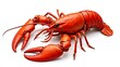 © Prateek - Whole Fresh Lobster. Red raw lobster with claws extended on white background, high-resolution seafood photography.