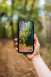 © Sibila and Pavel/Stocksy - Taking photo of autumn forest using phone