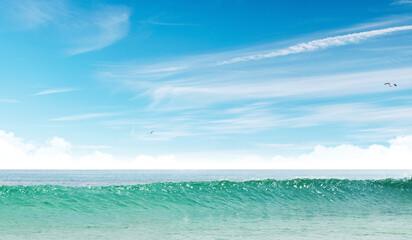 Poster - Summer landscape with a vast sea under a majestic sky