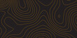© MdFahad - Premium-Quality Abstract Topographic Line Map with Stylish Wavy Contours and a Dark Background for a Bold and Contemporary Design