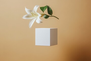 Poster - Floating white lily flower above a plain geometric block on a warm beige background